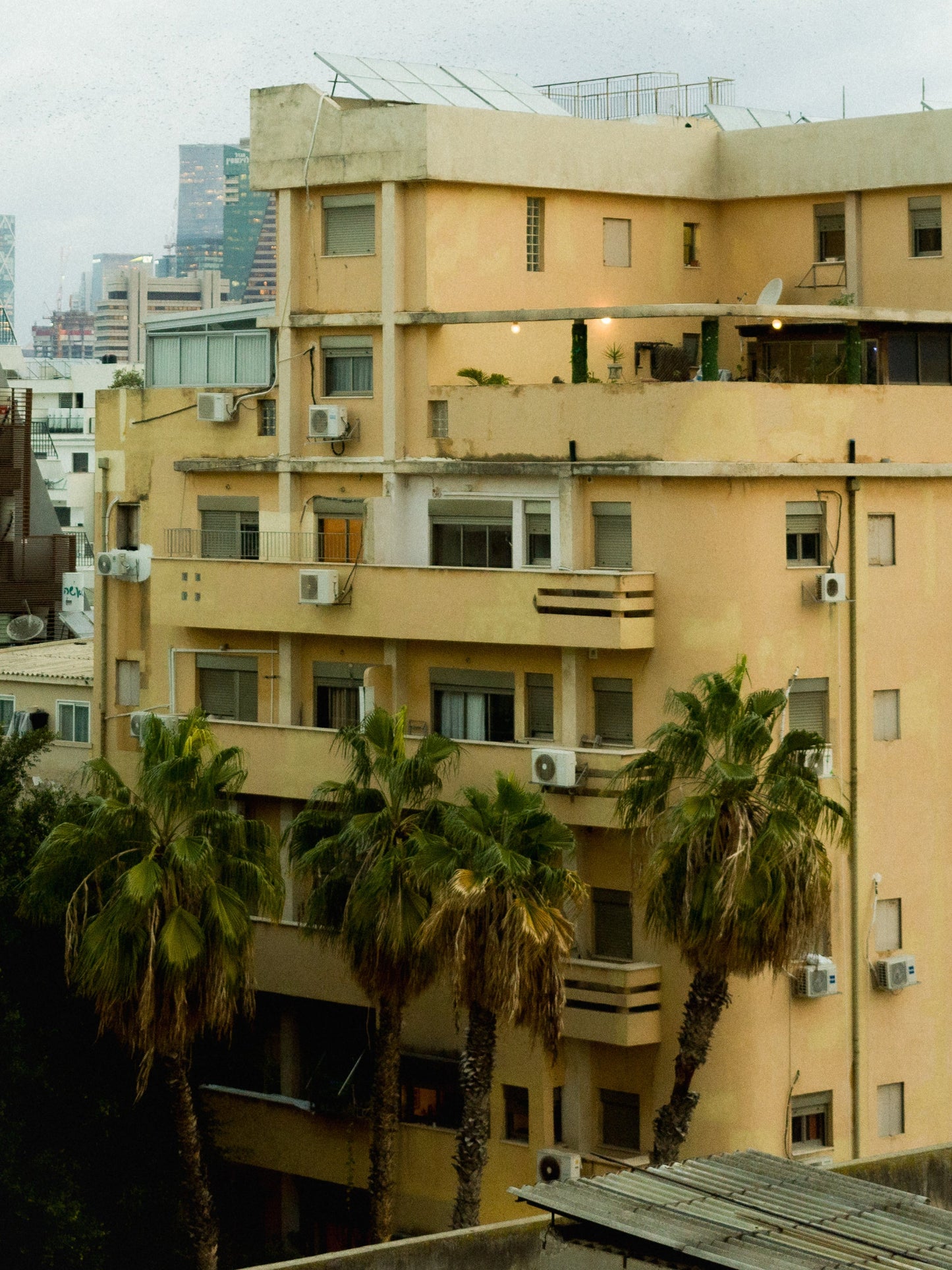 TLV
