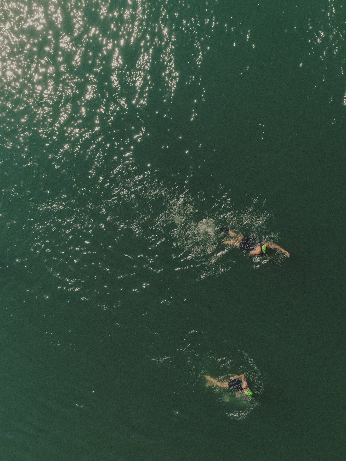 SWIM