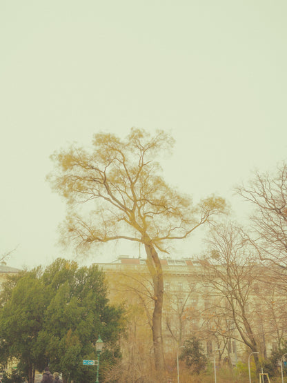 STAND ALONE